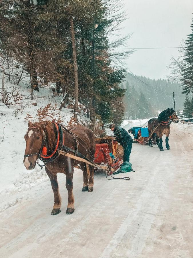 Apartamenty Przy Strumyku Szczawnica Exteriér fotografie